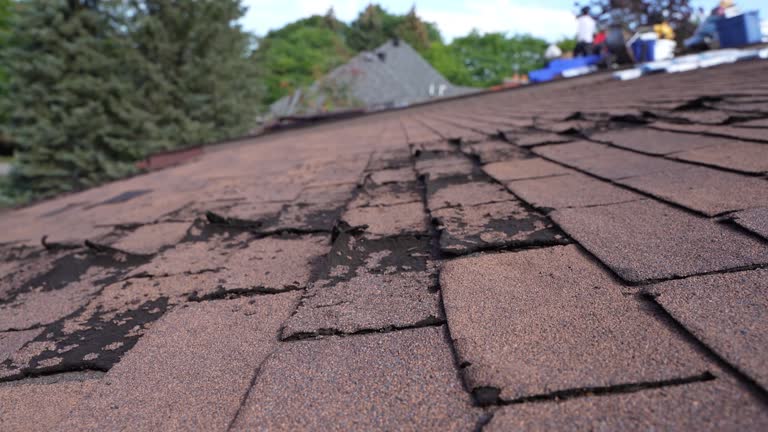 Best 4 Ply Roofing  in Travilah, MD